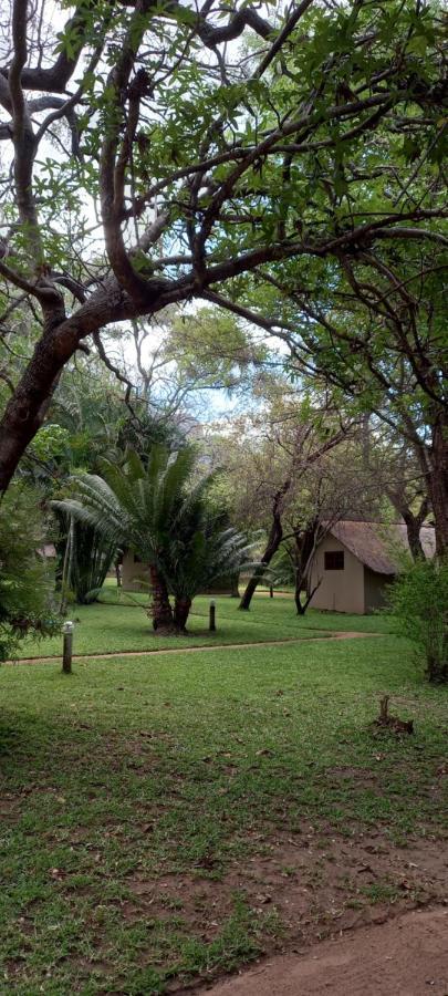 Shumba Safari Bush Camp Villa Hoedspruit Ngoại thất bức ảnh